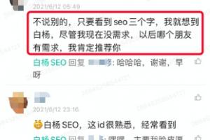 白杨SEO：怎么做差异化定位？差异化竞争优势有哪些？实战分享