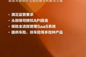 为车商量身定制，车百灵入选头部保司车险业务信息系统系统提供商