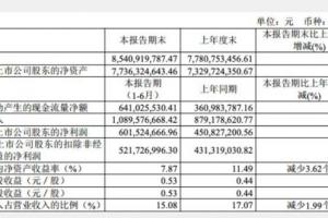 澜起科技上半年净利润 6 亿元，DDR5 相关芯片研发中